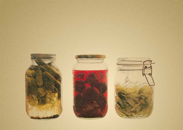 Fermented vegetables